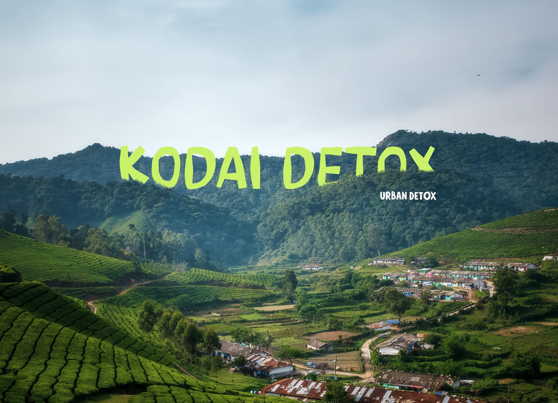 Kodai Detox
